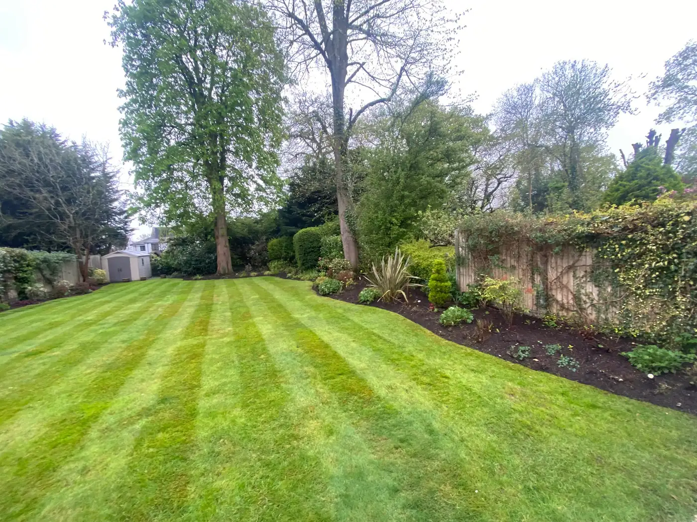 Lawn and garden by Lovell Gardens, landscapers covering Cockfosters